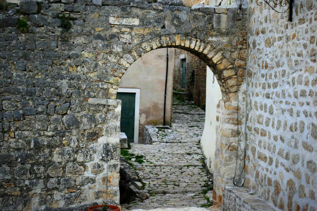 Apartments Carpe Diem Novigrad  Exterior photo